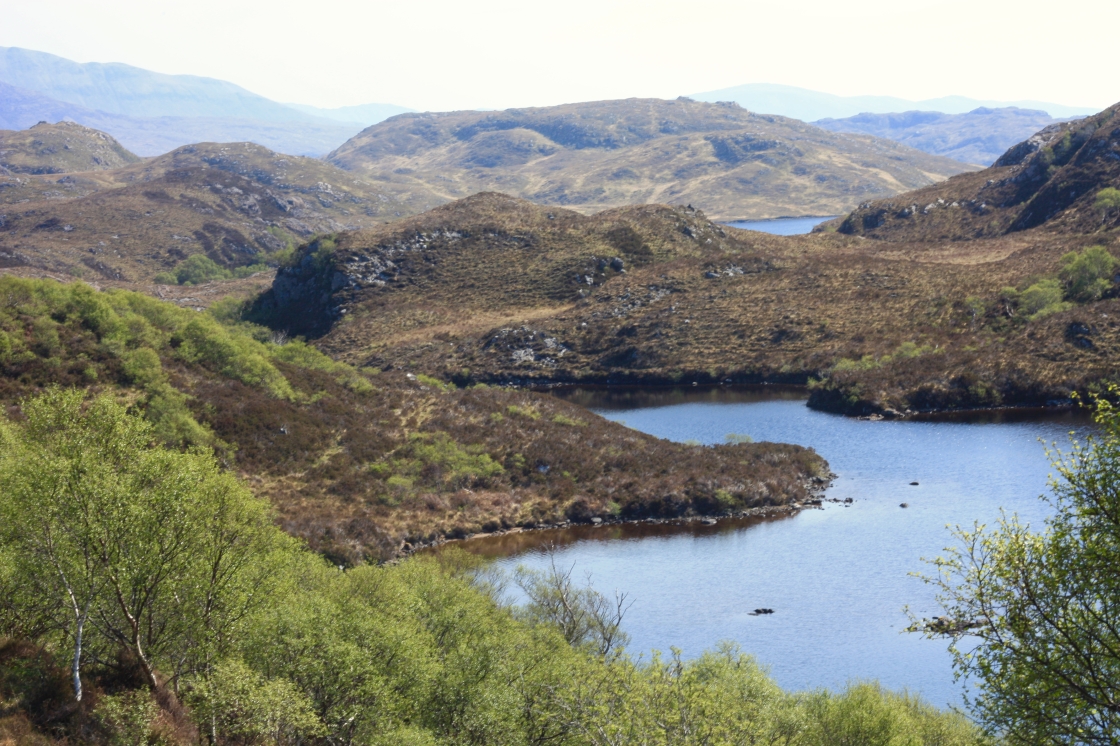Knoll and lochan country